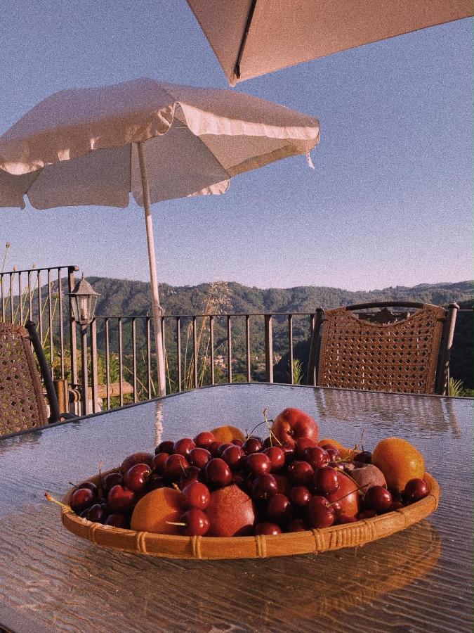 La Pianella Farmhouse Лука Екстериор снимка